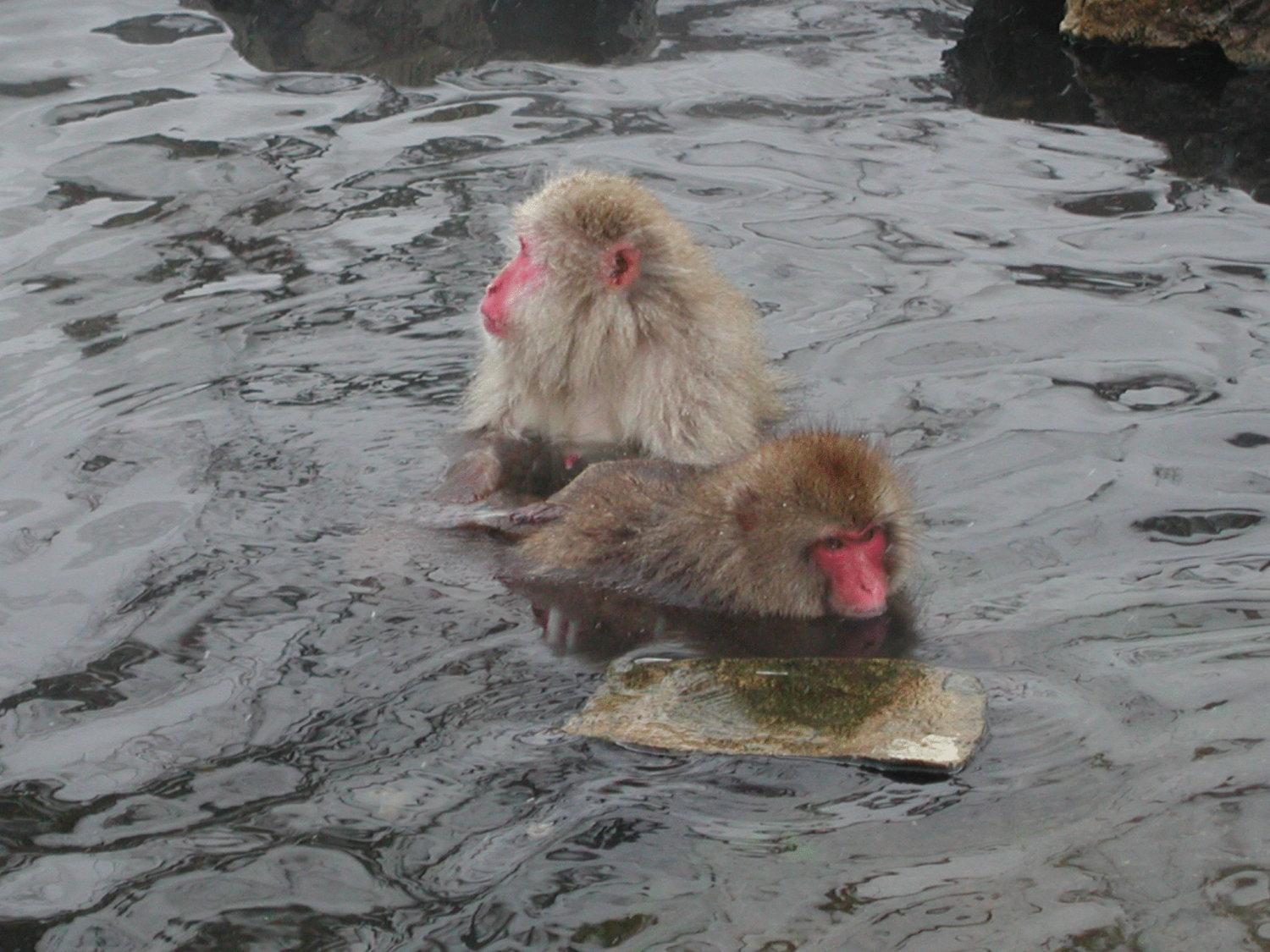 Uotoshi Ryokan Yamanouchi  Esterno foto